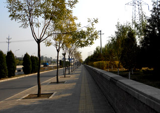 阜石路綠化工程設(shè)計案例