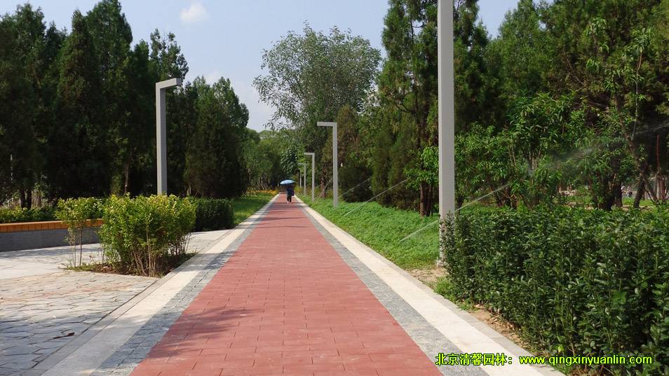 四環(huán)路綠化工程