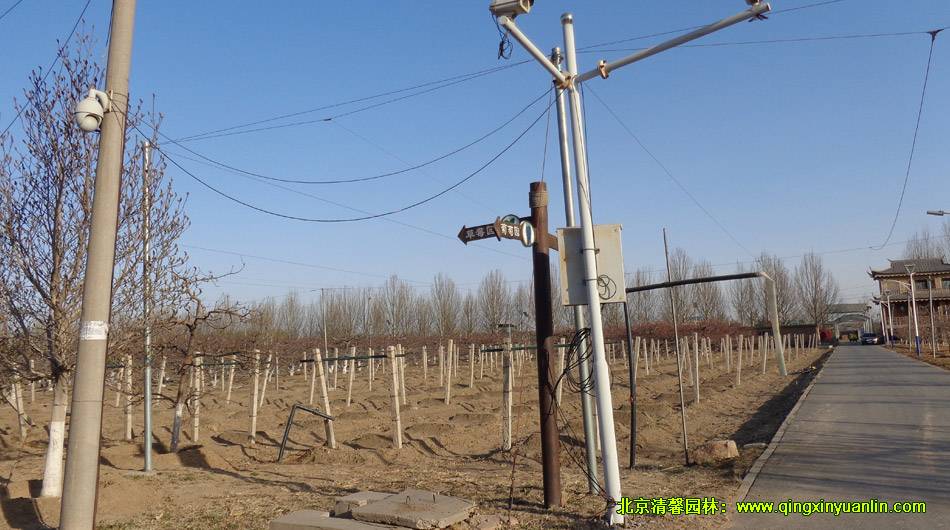 御香園改造提升工程鋪裝實(shí)況案例