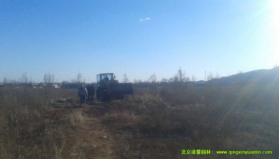 園路設(shè)計鋪設(shè)圖