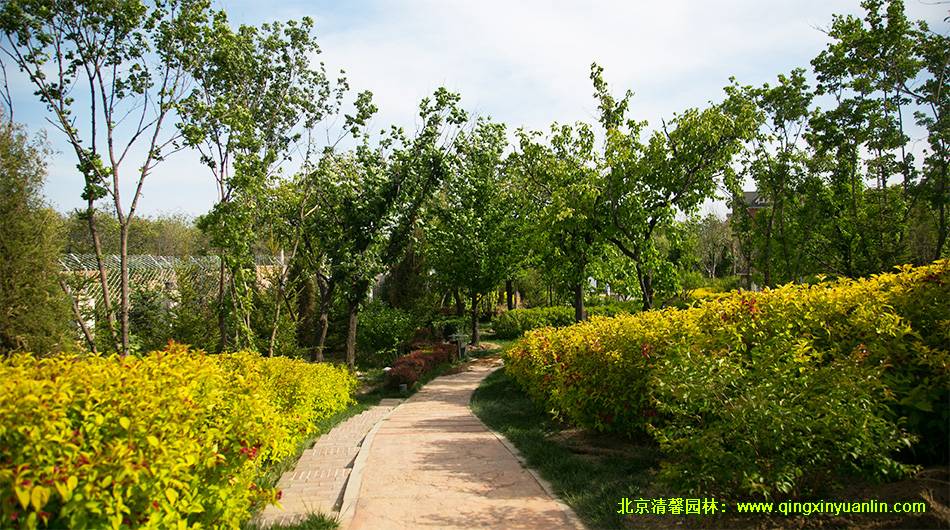 北京楓樹家園 園林景觀綠化