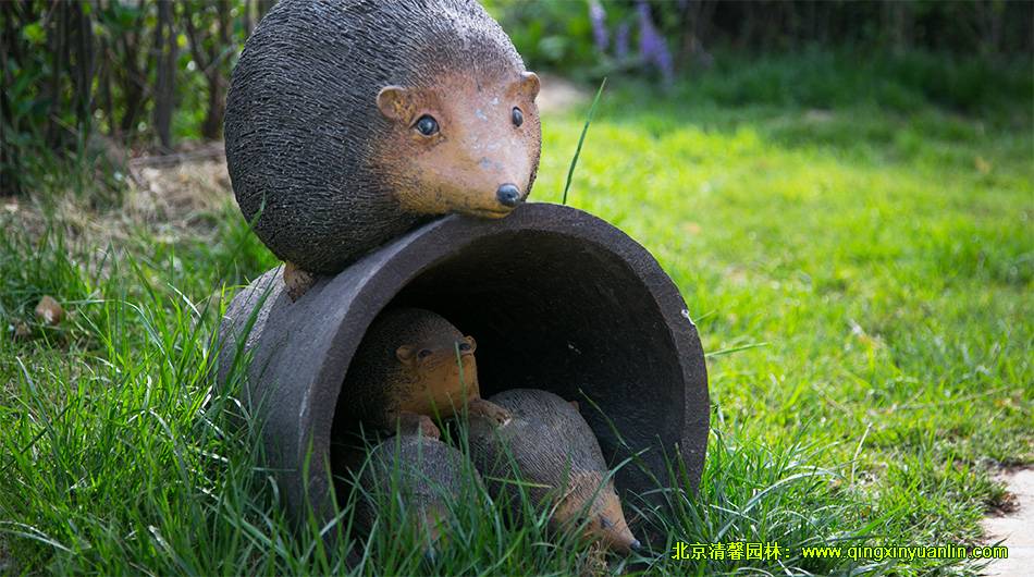 北京楓樹家園 園林景觀綠化