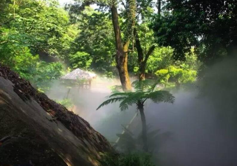 園林經(jīng)典之作 廈門萬(wàn)石植物園