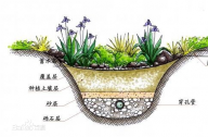 什么是雨水花園？雨水花園和普通花園有什么區(qū)別？